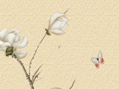 2025年提車吉日吉時的風水講究 提車時機與風水布局的關系