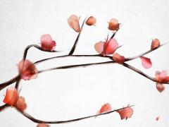 2025年開業(yè)的最佳時機(jī) 選擇合適的日子與時辰