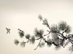 摩羯座的性格 摩羯座的性格特點(diǎn)男生