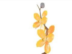 2025年1月出行吉日注意事項(xiàng) 出行前的準(zhǔn)備工作