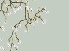 金木水火土12生肖 金木水火土12生肖婚配