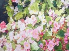 2025年結(jié)婚的生肖配對分析 哪些生肖在2025年最合適結(jié)婚