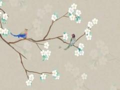 2025年犯太歲生肖的化解方法 如何轉運