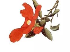 2025年農(nóng)歷乙巳蛇年動(dòng)土吉日的選擇 動(dòng)土吉日與生肖的關(guān)系