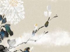 屬馬水瓶座AB型血男女性格分析和配對 屬馬水瓶座的女生性格特點