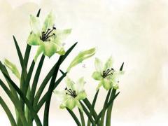 喬遷新居的傳統習俗 2025年搬家要注意什么