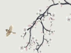 屬兔的離婚率高嗎 屬兔會(huì)輕易離婚嗎