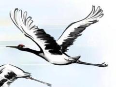 77屬蛇人什么時(shí)候轉(zhuǎn)大運(yùn) 77年肖蛇什么時(shí)候起大運(yùn)運(yùn)年