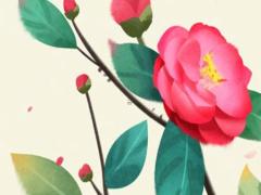 馬年配哪個(gè)生肖最合適 馬年配哪個(gè)生肖最合適男孩