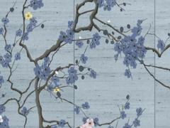 屬猴的人今年幾歲了？,屬猴的,今年幾歲了？