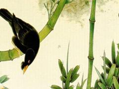 80年屬猴人10月運(yùn)勢(shì) 80年猴2021年十月份運(yùn)勢(shì)