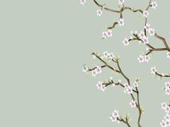 12生肖今天運(yùn)勢(shì) 12生肖今天運(yùn)勢(shì)詳解2o22年827日十二生肖網(wǎng)