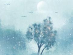 2025年1月搬家時的注意事項 搬家前后需要做的準備