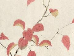 2025年1月開(kāi)張吉日注意事項(xiàng) 開(kāi)張吉日與生肖的關(guān)系