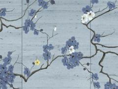 屬蛇的今年30幾歲 屬蛇30歲過后的命運