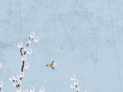 2012年是什么生肖年份1,2012年是什么生肖年?