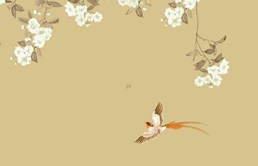 屬馬的人命好不 屬馬的人命最好 屬馬的人命好不 屬馬的人命最好