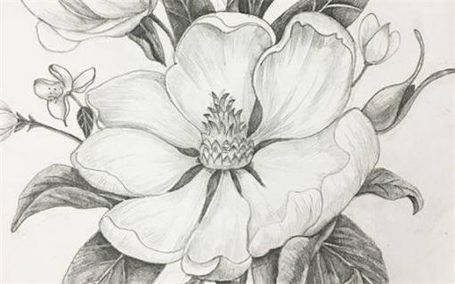 1977年的蛇是什么命 1977年的蛇是什么命金木水火土 1977年的蛇是什么命 1977年的蛇是什么命金木水火土