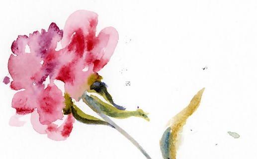 射手座6月24日運勢如何 射手座6月26日運勢 射手座6月24日運勢如何 射手座6月26日運勢