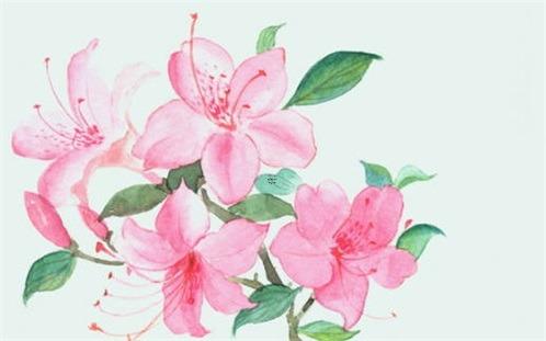 12歲生肖豬女運(yùn)勢(shì) 屬豬女12月份出生命運(yùn) 12歲生肖豬女運(yùn)勢(shì) 屬豬女12月份出生命運(yùn)