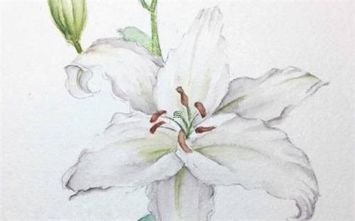 為什么很多人30歲開始轉運 一般人在30幾歲會轉運 為什么很多人30歲開始轉運 一般人在30幾歲會轉運