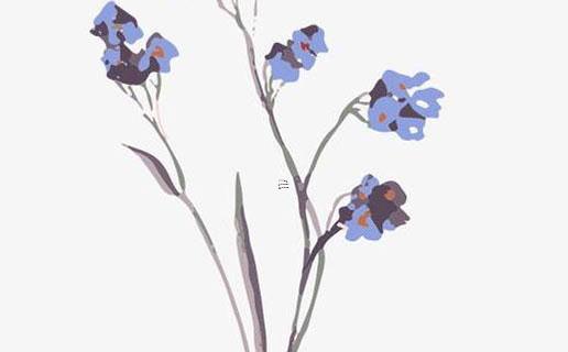 最新寶寶起名步驟流程 最新寶寶起名步驟流程圖 最新寶寶起名步驟流程 最新寶寶起名步驟流程圖