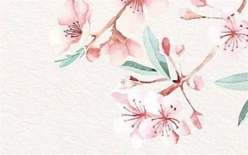 清朝12位皇帝列表 孝莊和多少人發(fā)生過(guò)關(guān)系 清朝12位皇帝列表 孝莊和多少人發(fā)生過(guò)關(guān)系