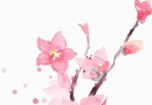 屬兔的2025年1月搬家吉日分析 如何提升搬家后的運(yùn)勢(shì) 屬兔的2025年1月搬家吉日分析 如何提升搬家后的運(yùn)勢(shì)