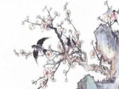 屬兔的本命年能帶金鐲子嗎,屬兔的本命年可以穿紅色嗎