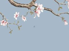 屬龍的幾月生的命更好命 屬龍的幾月出生的最好的是命運(yùn)