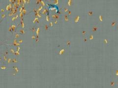 鳳眼紋沒封住是啥意思 鳳眼紋不封閉會倒霉嗎