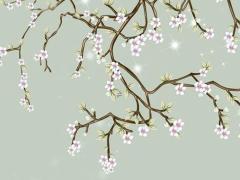 屬虎出生在什么時(shí)候時(shí)辰最好 屬虎出生什么時(shí)辰定能大富大貴