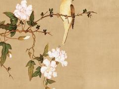 兔的本命年應(yīng)該佩戴什么飾品,兔的本命年該佩戴什么好呢