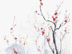 屬相兔明年本命年能結婚嗎女,屬兔本命年能結婚嗎,本命年結婚好嗎