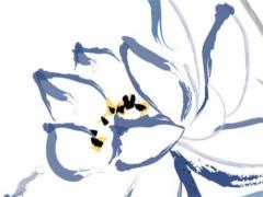 父親節(jié)開什么生肖 父親節(jié)一般開什么生肖