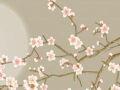 屬馬今天的運(yùn)勢(shì) 屬馬今天的運(yùn)勢(shì)查詢