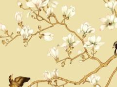 屬馬幾月出生更好命運(yùn)農(nóng)歷 屬馬幾月份出生最好命農(nóng)歷