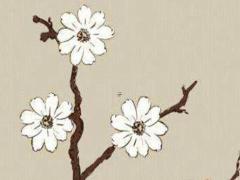 十二生肖兔更佳姻緣配對 十二生肖兔的婚配