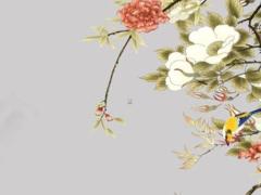 76年屬龍女人感情 76年屬龍女人感情運勢