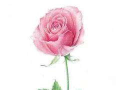 屬馬人如何過牛年 屬馬人怎樣順利過牛年