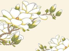 屬羊?qū)?yīng)的年份分別有哪些 屬羊生肖的年份和年齡