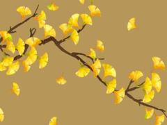 六月成績運勢最好的星座 6月運勢最好的生肖