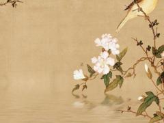 屬鼠的去東方發展好嗎 屬鼠的人適合去哪里發展?