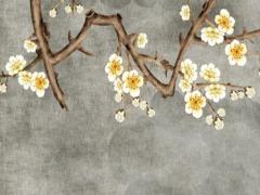 兔本命年可以建房子嗎?,兔年本命年的大忌