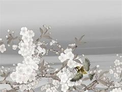 明年屬兔本命年帶什么生肖好,明年是屬兔的本命年嗎