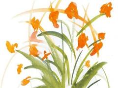 屬龍的健康運勢 屬龍的人健康狀況