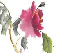 有緣網(wǎng)附近交友 有緣網(wǎng)征婚交友