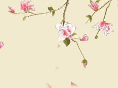 媽媽60本命年送什么東西好 媽媽本命年60女兒送什么禮物好