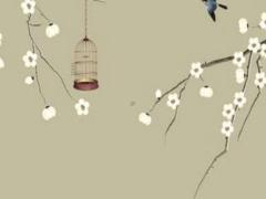 女命八字看有幾個(gè)孩子 女命八字如何看