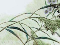 2004年運(yùn)勢(shì) 2004年生肖運(yùn)程